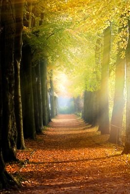 abaahh5123's profile picture. ‏‏‏حبي لله ورسولي ثم والداي ❤ سبحانك اللهم وبحمدك