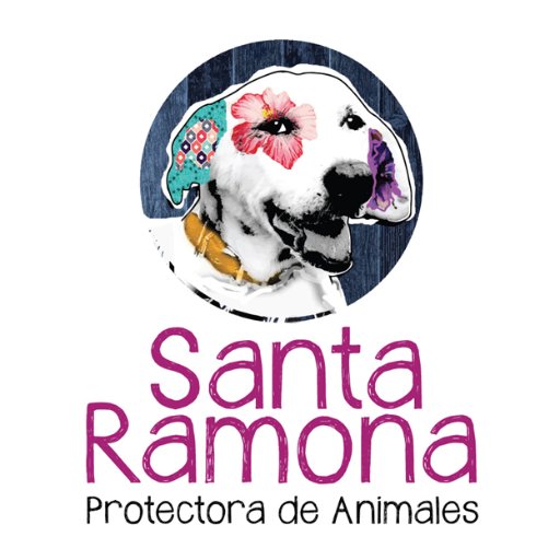 Hacemos nuestro aporte contra el abandono y el maltrato animal. instagram: https://t.co/zLcB0PiK1i