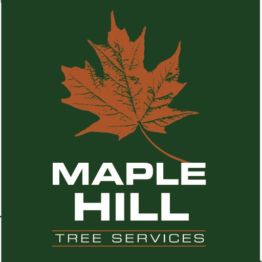 Expert Tree Services for Greater Toronto Area Property Owners and Municipalities.