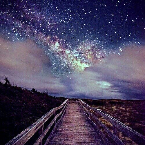 Catlvr4lyf's profile picture. follow me on Instagram @catlvr4lyf Snapchat @catlvr4lyf Periscope @catlvr4lyf Flckr @catlvr4lyf tumblr @catlvr4lyf Pinterest @catlvr4lyf