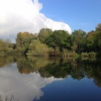 Singleton Lake (@singletonlake) 's Twitter Profile Photo