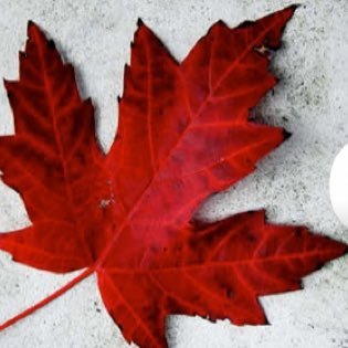 canada day is a time for canadian to celebrate canadian history,herritage and culture