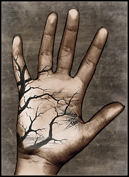 Olivarries's profile picture. Programmer, Historian, Geographer, Tour Guide, Engineer, Basketball Analyst, and Writer.