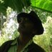hector_balint (@hectorbalint) Twitter profile photo hector_balint (@hectorbalint) Twitter profile photo