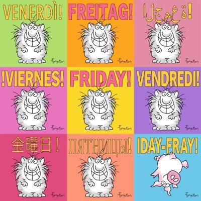 errosewriter2be's profile picture. Nerdfighter and Writer. Foremost and First. Student and Poet. Read and Rehearsed.