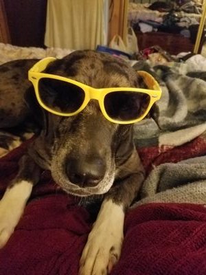 4kcdc's profile picture. Because I am me.