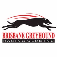 Brisbane Greyhounds(@BrisGreys) 's Twitter Profile Photo