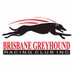 Brisbane Greyhounds (@brisgreys) Twitter profile photo Brisbane Greyhounds (@brisgreys) Twitter profile photo