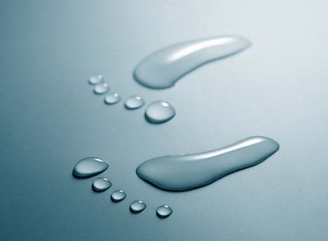 szamoking's profile picture. 