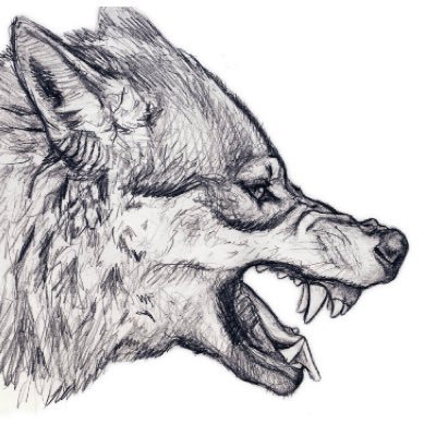 Manning_Orr_'s profile picture. 