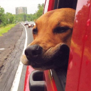 52202431's profile picture. 