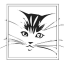 Carol Schaefer - @schaeferca - Twitter