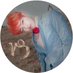 Meant to V (@meant_to_v) Twitter profile photo Meant to V (@meant_to_v) Twitter profile photo