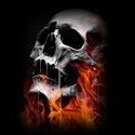 Andrew James (@andrewj42696624) 's Twitter Profile