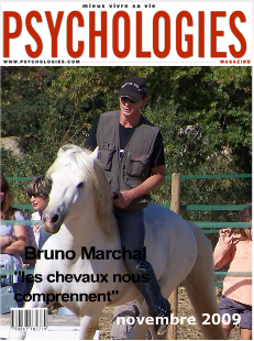 éthologie, cheval, spectacle équestre, formation, coach, Montpellier, équitation