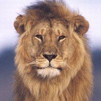 Suveg_Mann (@ssingh_mann) 's Twitter Profile
