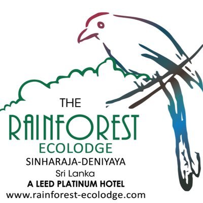 follow us on instagram| facebook- @rainforestecolodge2012