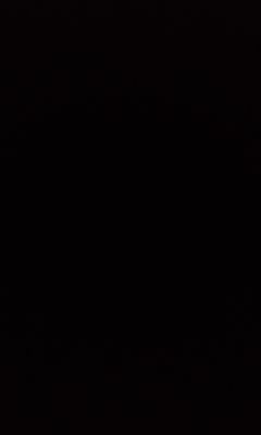 zorobot_for_you's profile picture. 