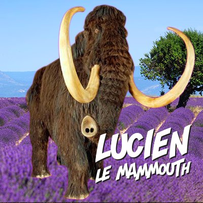 Je suis Lucien le #mammouth, gardien du Musée de #Préhistoire des gorges du Verdon. Venez découvrir l'aventure de l’Homme en Provence depuis 1 million d’années.