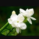 Abbie Lopez - @AbbieLopez14 - Twitter