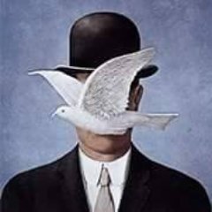 francescolerco's profile picture. Graphic & UX Designer