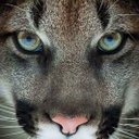 Laurel King - @EllieKing33 - Twitter