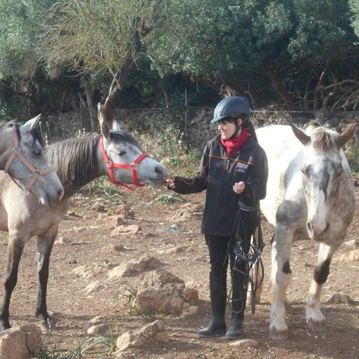 enamorada de los caballos desde pequeña y apasionada del anime y el manga. La equitacion mi mundo, un mundo inconprendido por el mundo