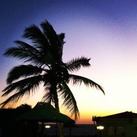 Khalid (@khalid93855308) Twitter profile photo