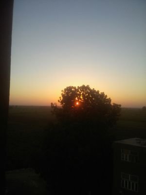 BakerHoda's profile picture. 