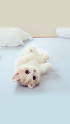 PRamayyan's profile picture. ह्ह्ह