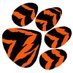Tenafly HS Girls Basketball (@gbtenafly) Twitter profile photo