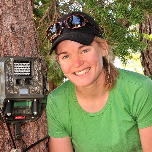 ilovewolverines's profile picture. Researcher, mountain lover, mama of two; PhD in Conservation Genetics (University of California Davis)
