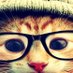 Deyvid Levir (@levirdeyvid) Twitter profile photo Deyvid Levir (@levirdeyvid) Twitter profile photo