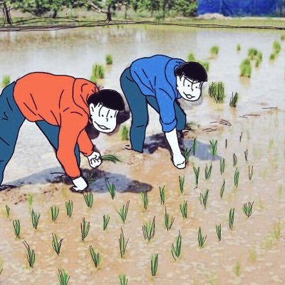 ますおさんのプロフィール画像