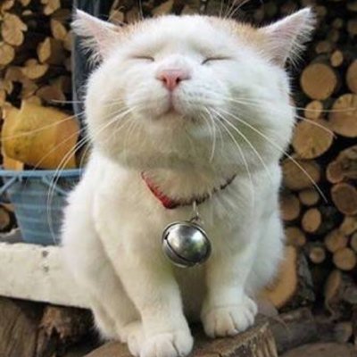 fennydwi_15's profile picture. you are stronger than you think