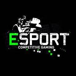 Professional eSports organization since 2016 created since 2013