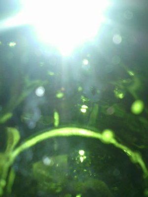 otienoodada's profile picture. Opinions expressed here are personal