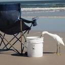 Sam Wardlaw - @divewithsam - Twitter