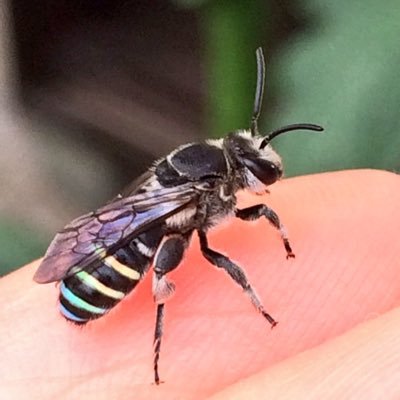 國重友美 - Search / X