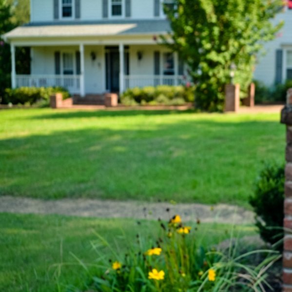 Want to buy or sell a home? Do you live in Arlington or the Mid-South? Follow me for custom reports and tips that will ease the buying and selling process.