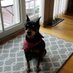 Bruno (@debrajacqueline) Twitter profile photo Bruno (@debrajacqueline) Twitter profile photo