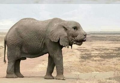 achaosmentality's profile picture. 