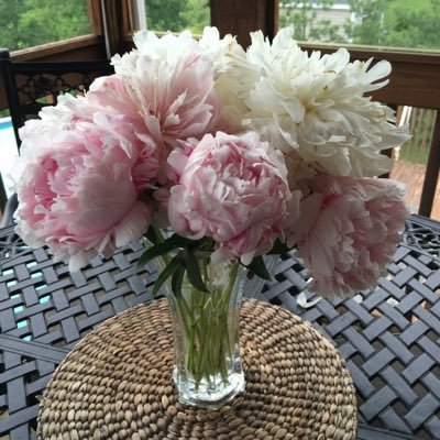 rdgpcteacher's profile picture. 