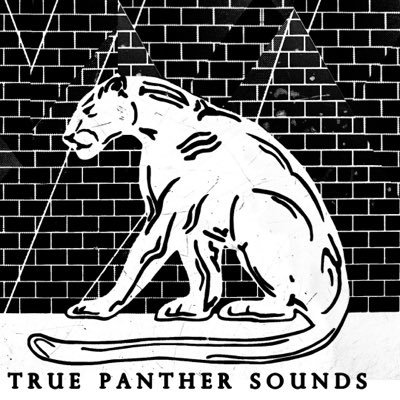 truepanther Profile Picture