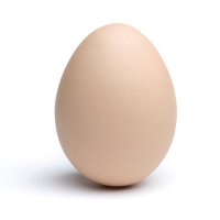 Chappy (@chappyhalifax) 's Twitter Profile