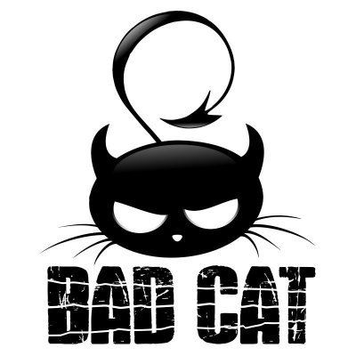 Bad Cat 