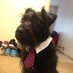 Andy Dennis (@scruffymongrel) Twitter profile photo Andy Dennis (@scruffymongrel) Twitter profile photo