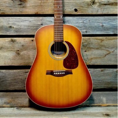 Readplayz's profile picture. Guitar player and love music, watching twitch and youtube