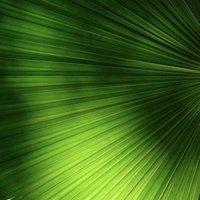 Kuya Haruno (@cafeharuno) Twitter profile photo