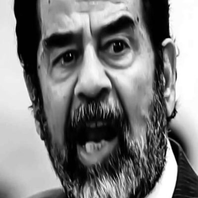 الأخبار المملكة العربية السعودية